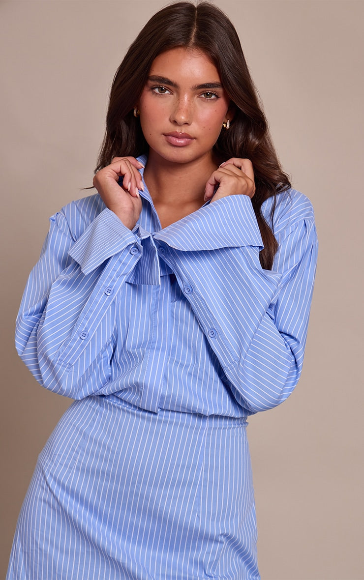 https://cdn-img.prettylittlething.com/8/1/d/7/81d7063b6ae978e37f17e2c6277b28f51dc02345_CNO3528_4_blue_pinstripe_button_down_shirt_dress.jpg